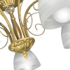 Люстра потолочная 5 плафонов S2456-5