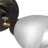 Люстра потолочная интерьерная S2420-2
